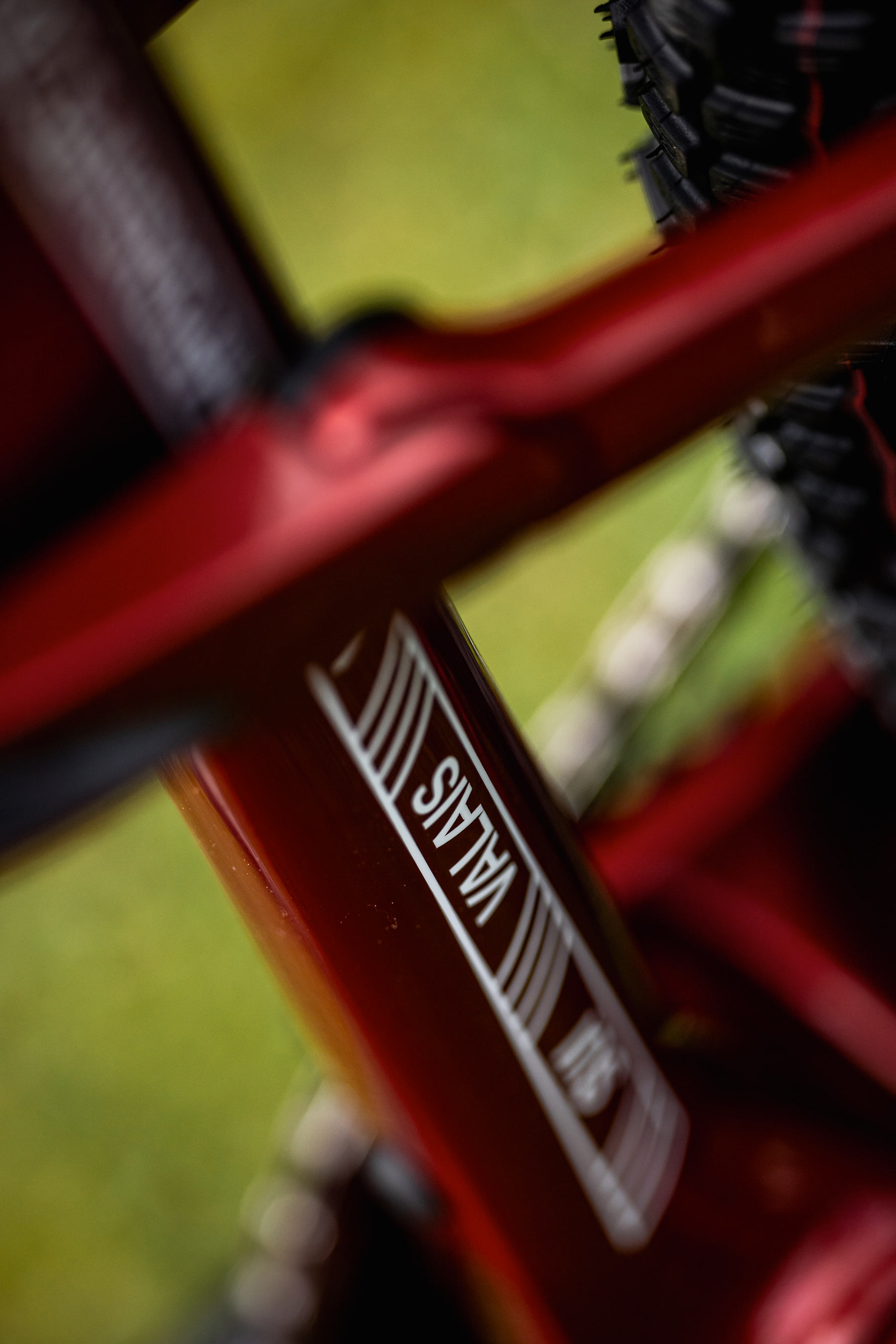 Canyon Lux CFR Thibaulta Francoise