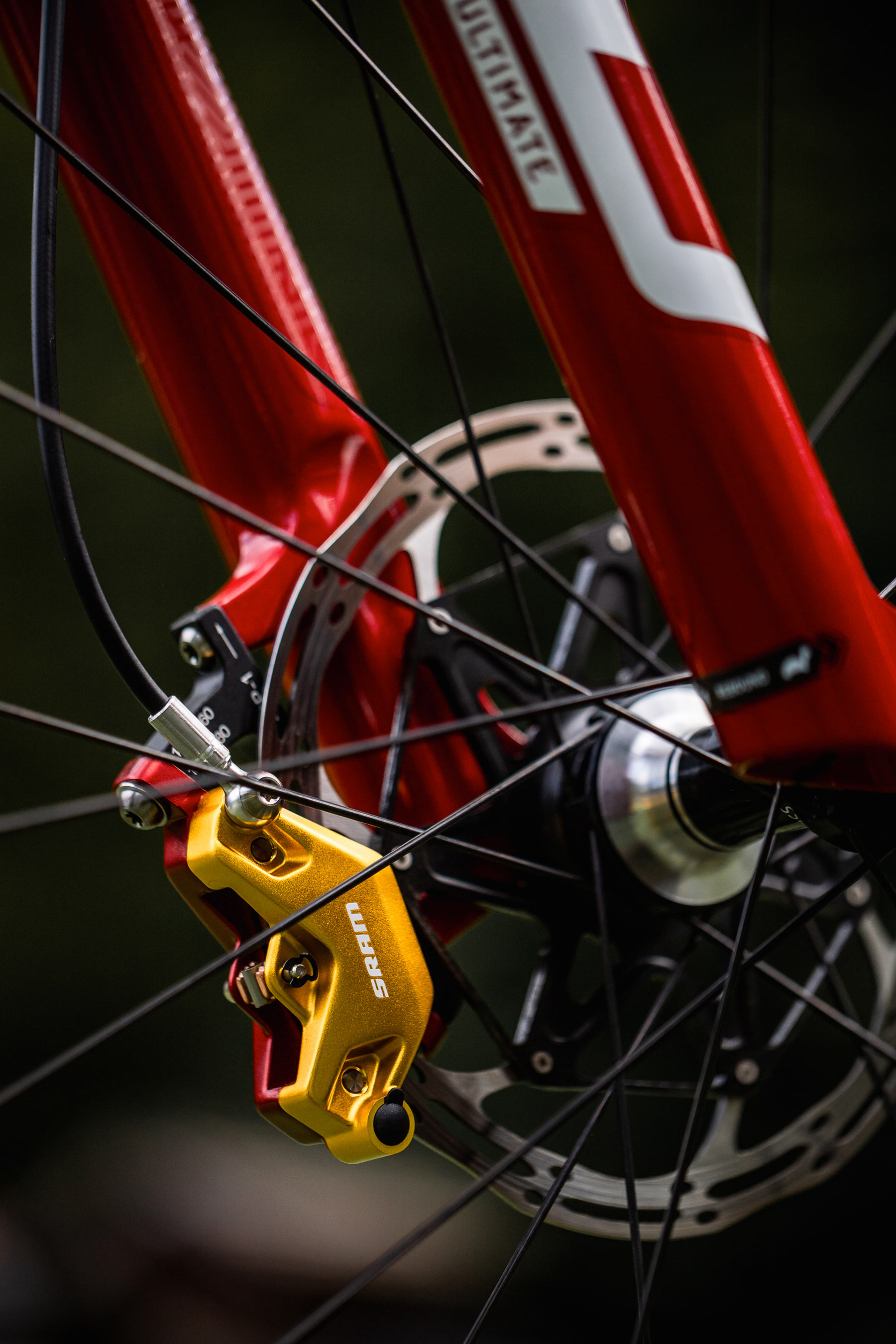 Canyon Lux CFR Lucy Schwarzbauera