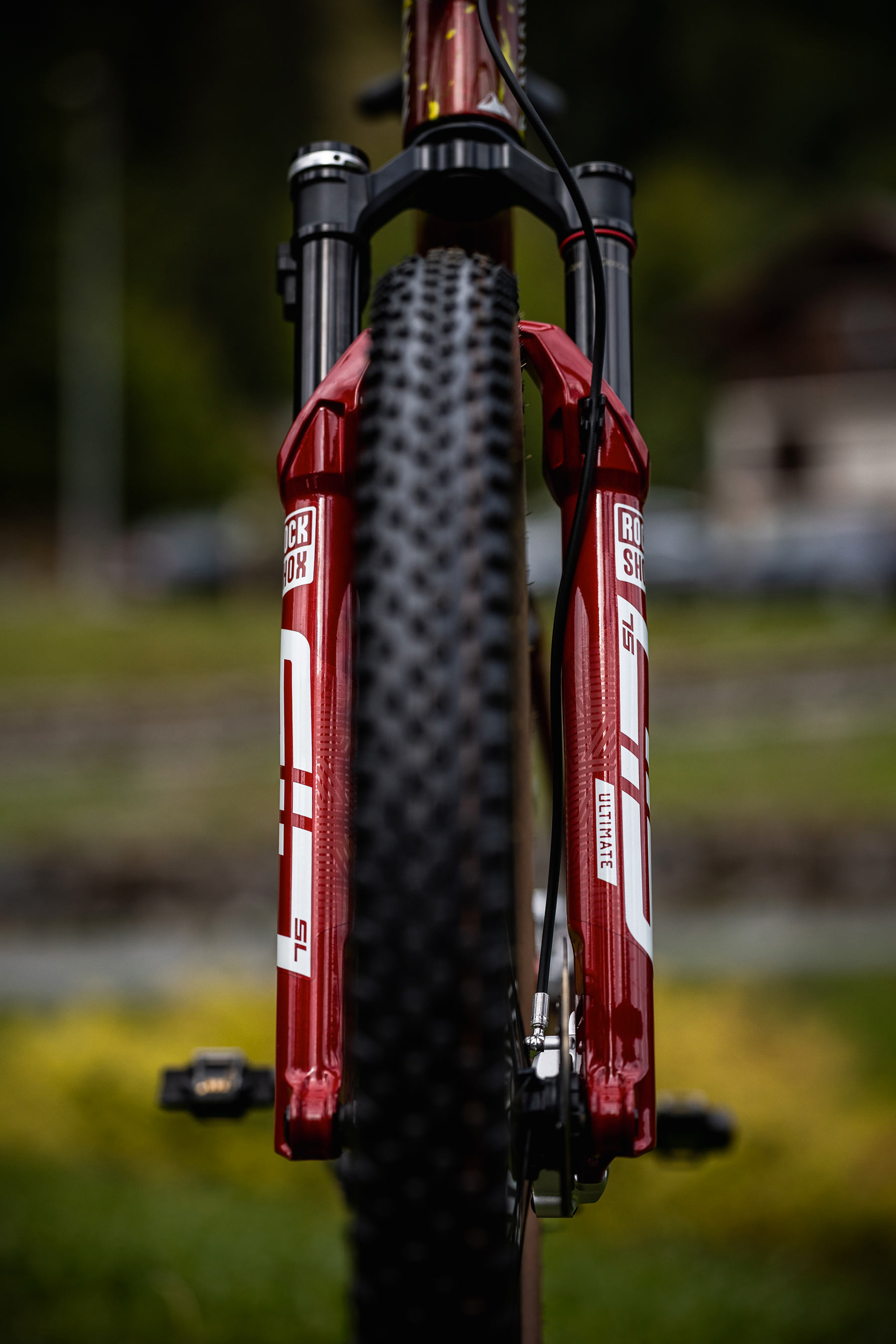 Canyon Lux CFR Thibaulta Francoise