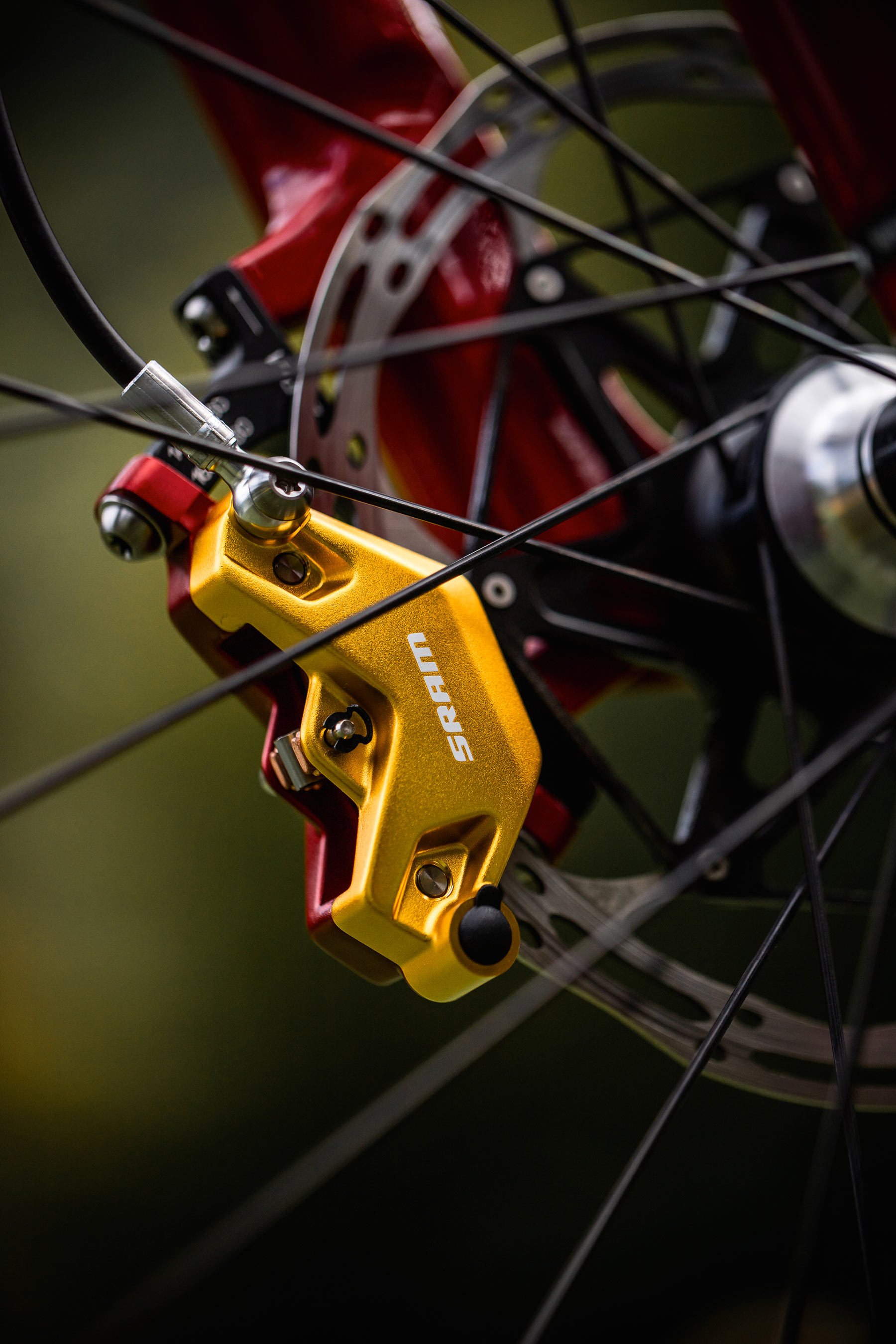 Canyon Lux CFR Lucy Schwarzbauera