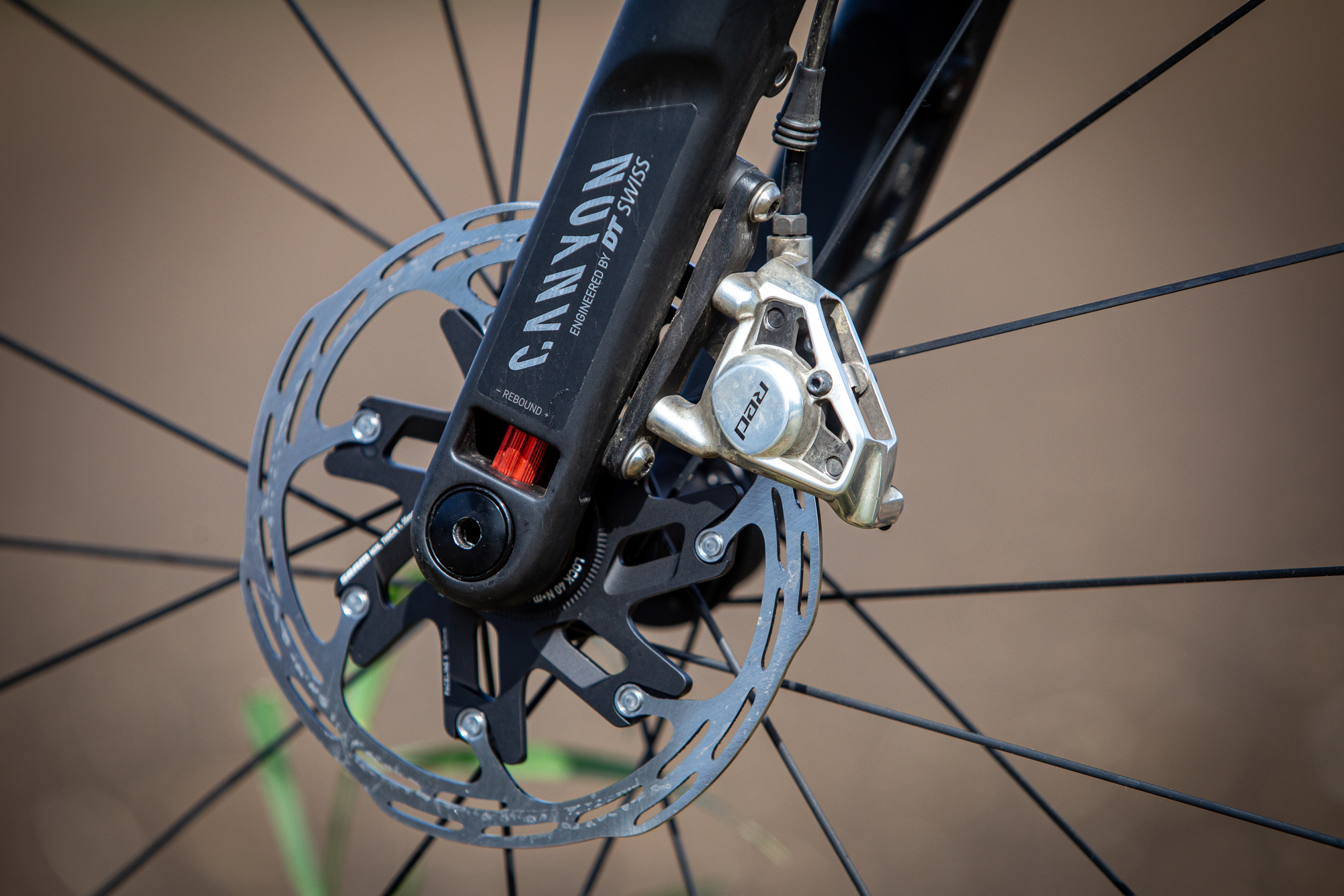 Bikecheck - Canyon Grail CFR Petra Vakoe