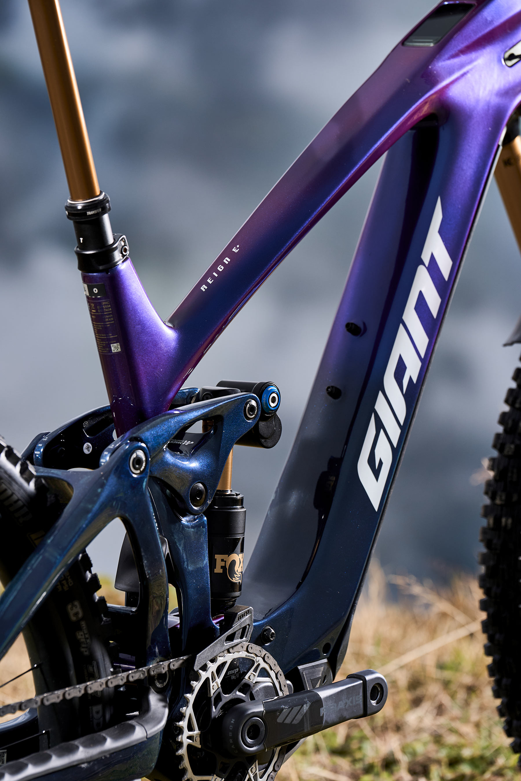 Giant Reign Advanced E+