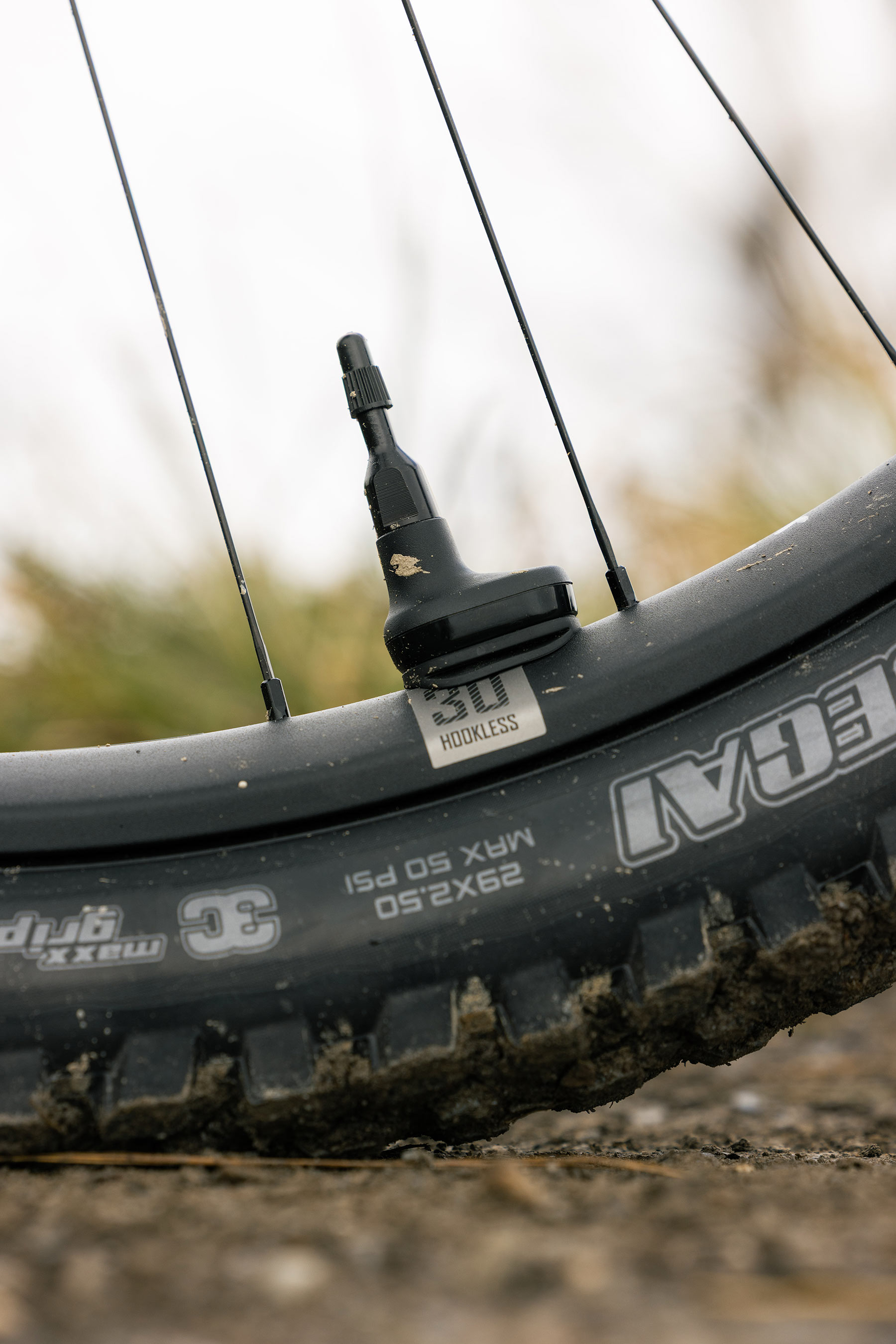 Giant Reign Advanced E+