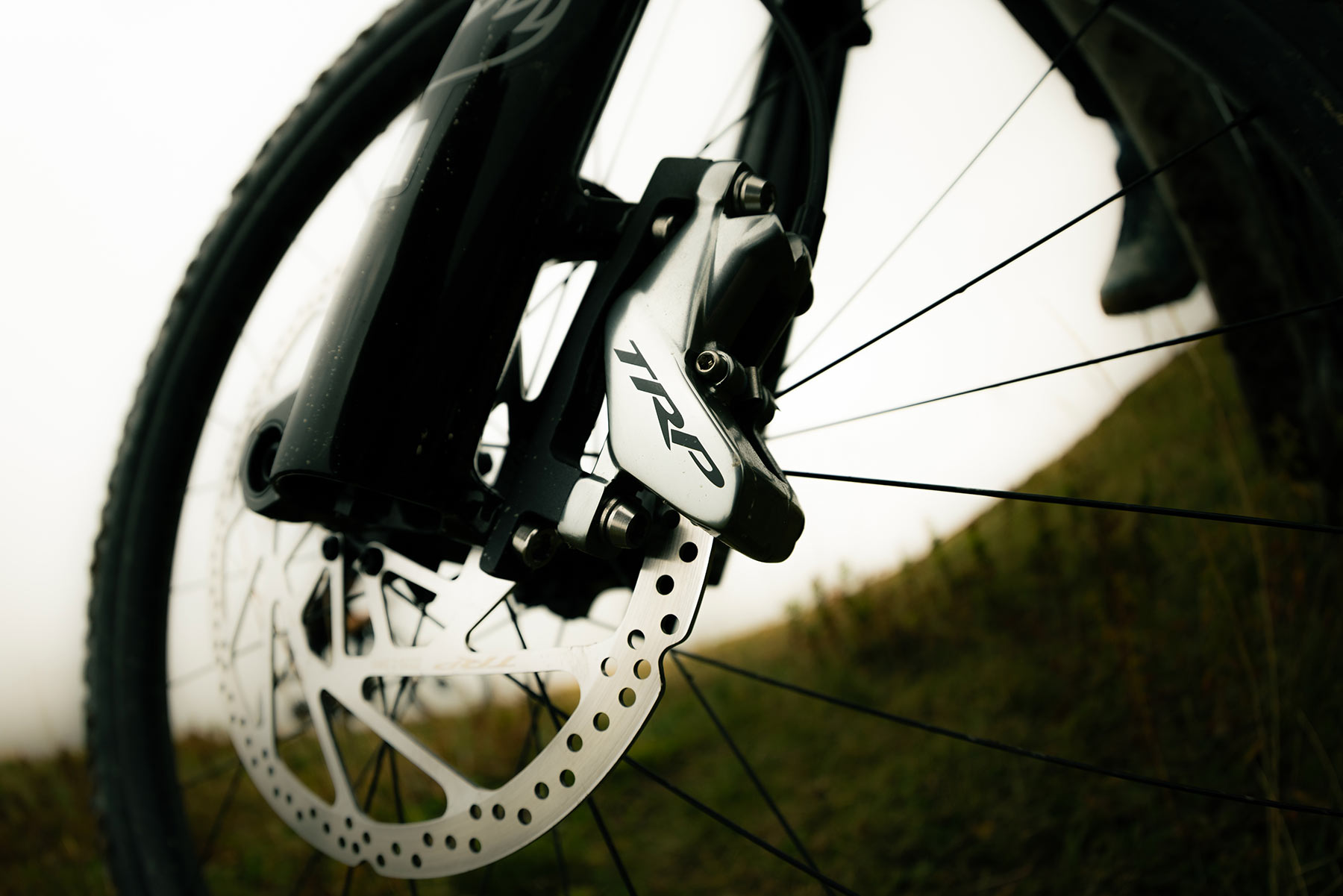 Giant Reign Advanced E+