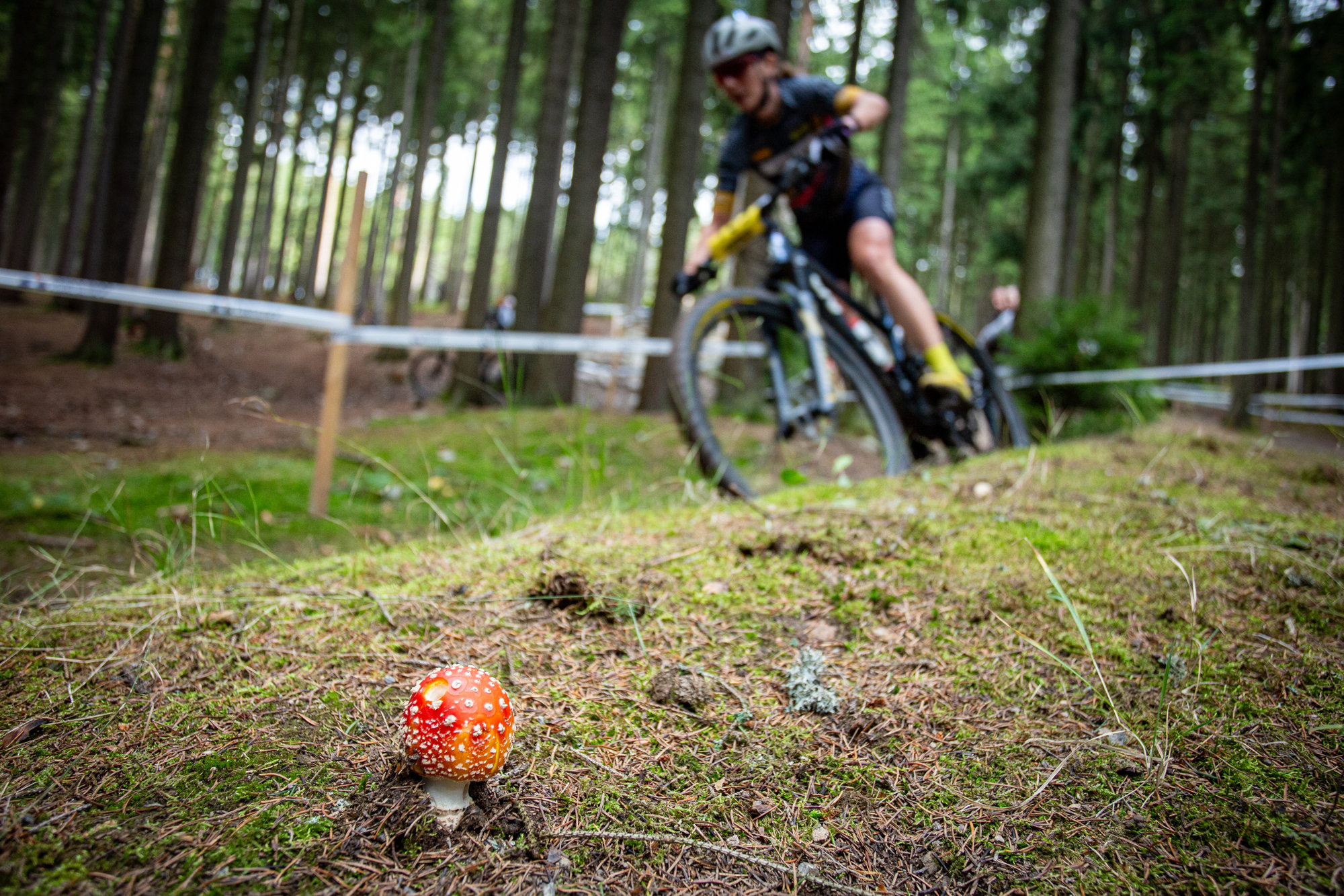 esk pohr XCO #5 - Nov Msto na Morav 2025