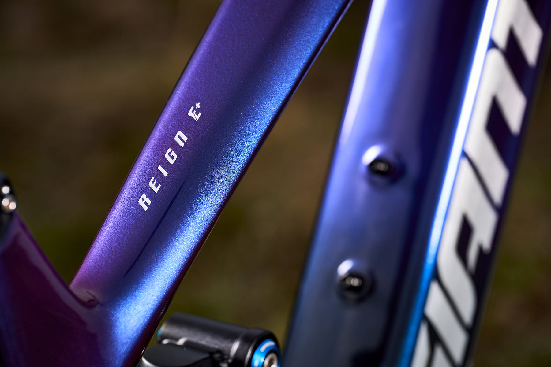 Giant Reign Advanced E+