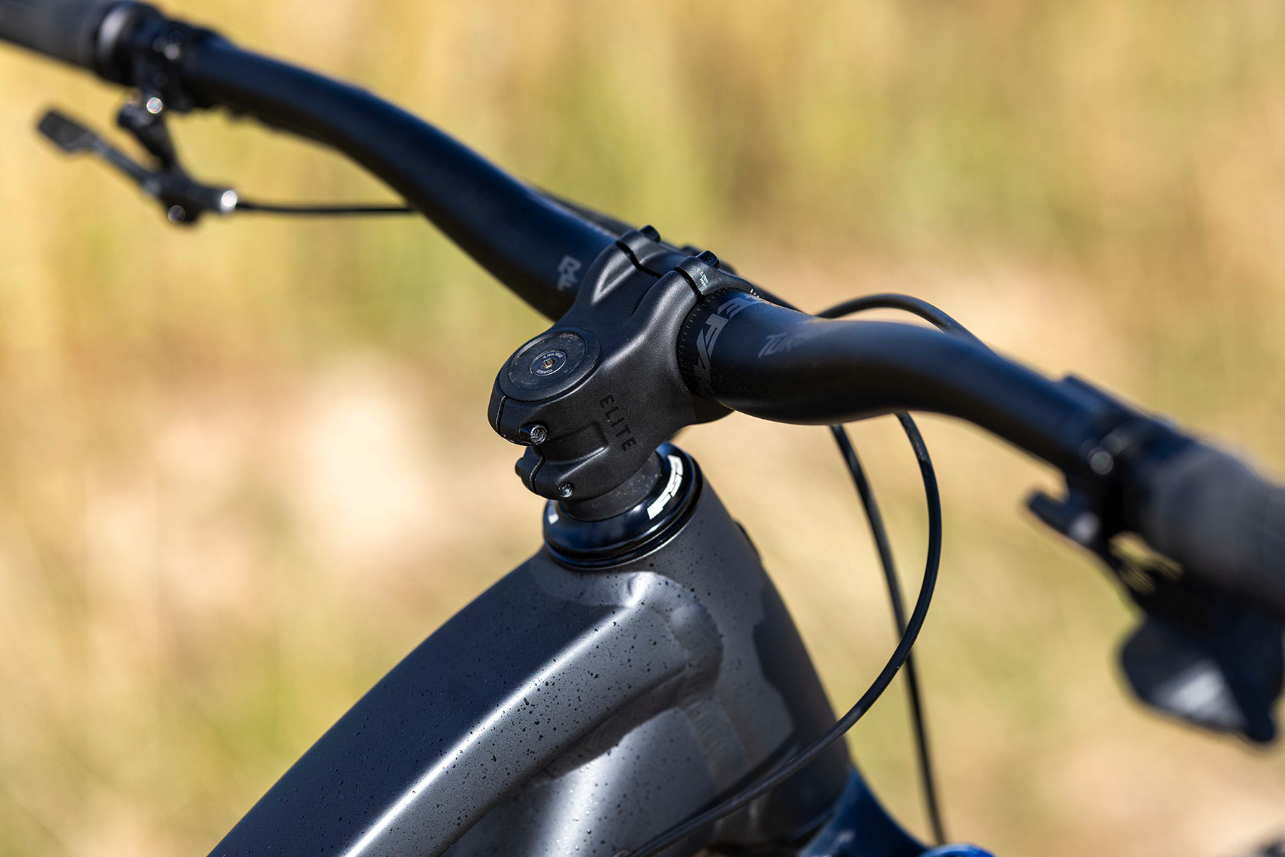 Trek Fuel MX Eagle XO AXS