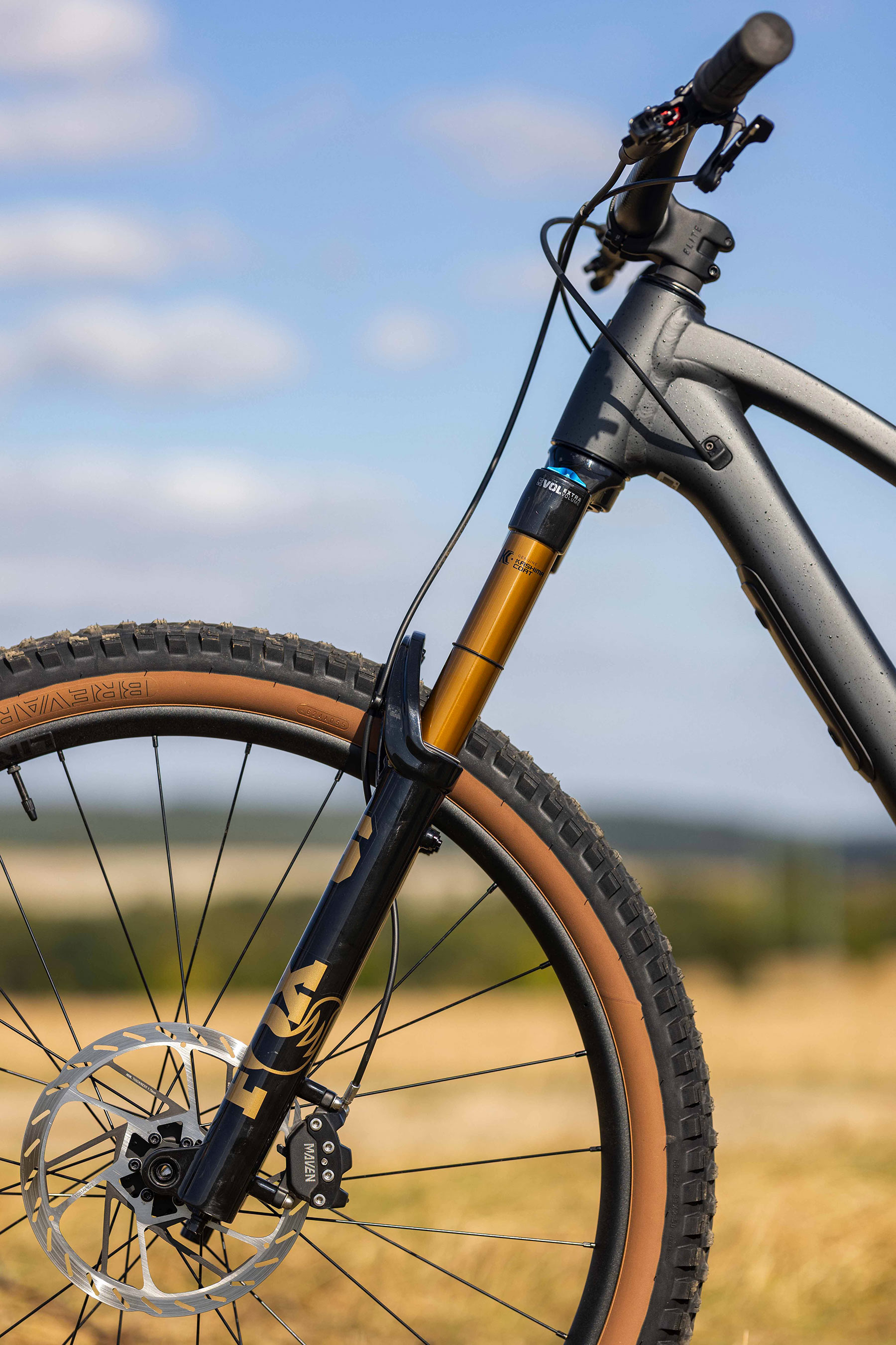 Trek Fuel MX Eagle XO AXS