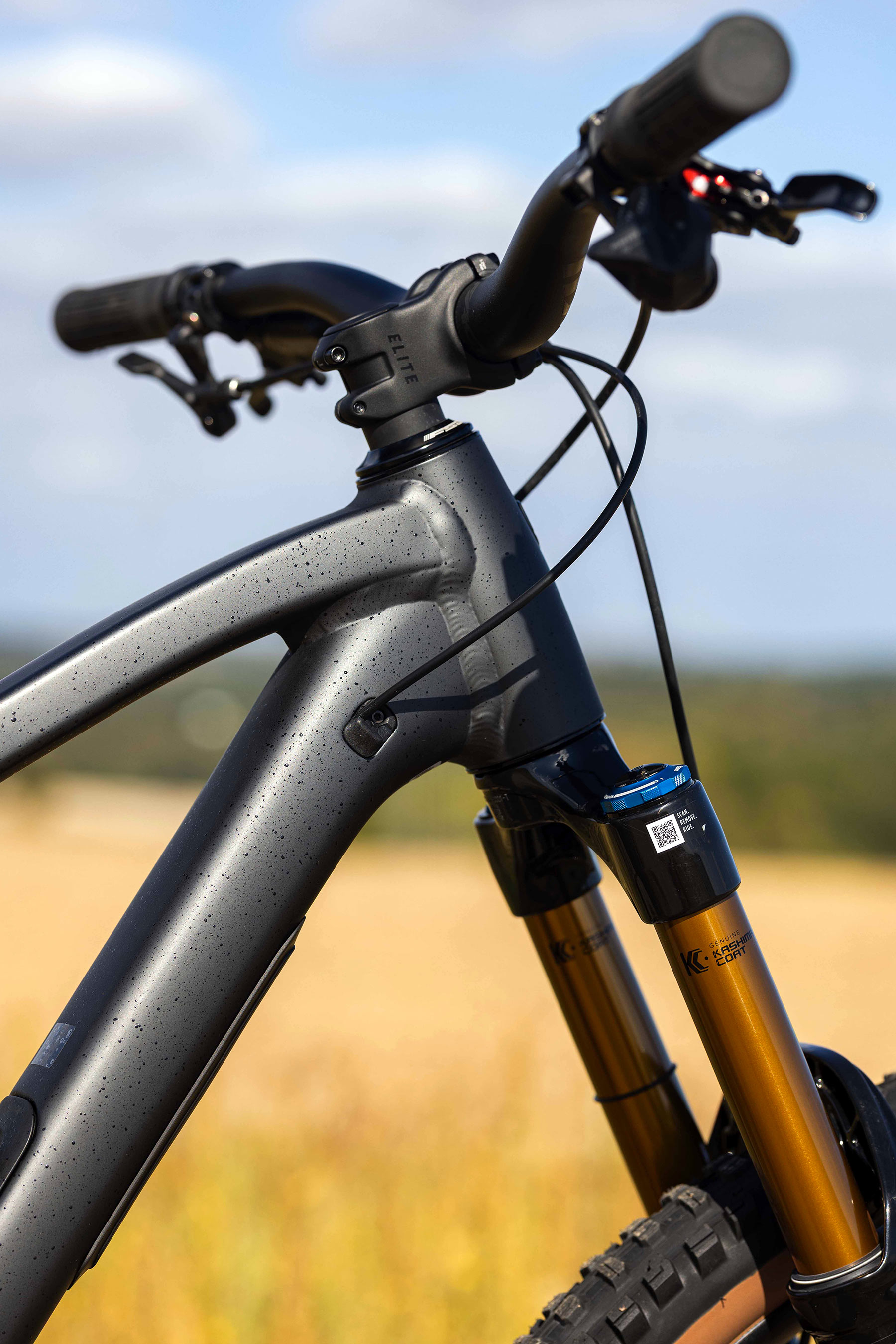 Trek Fuel MX Eagle XO AXS