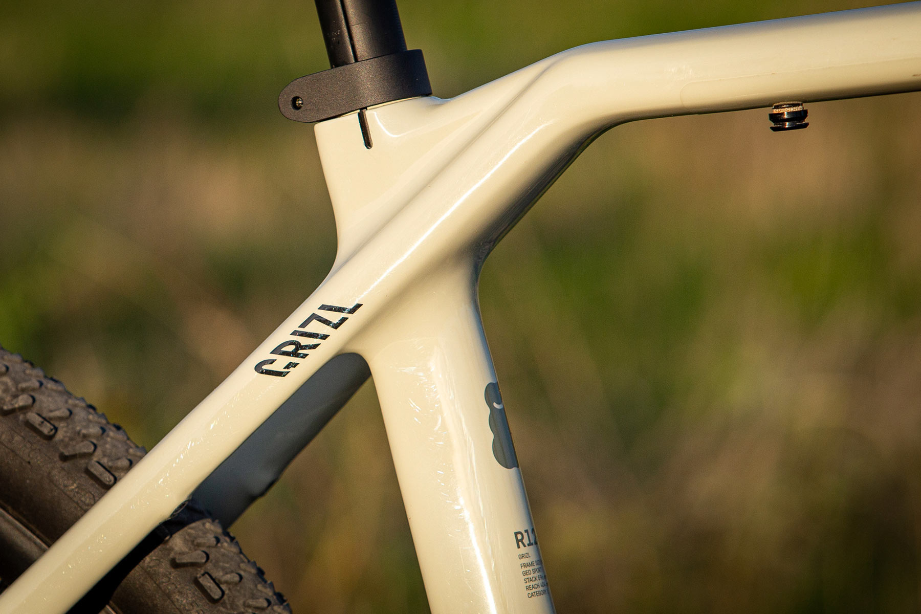 Canyon Grizl CF 8 Rift