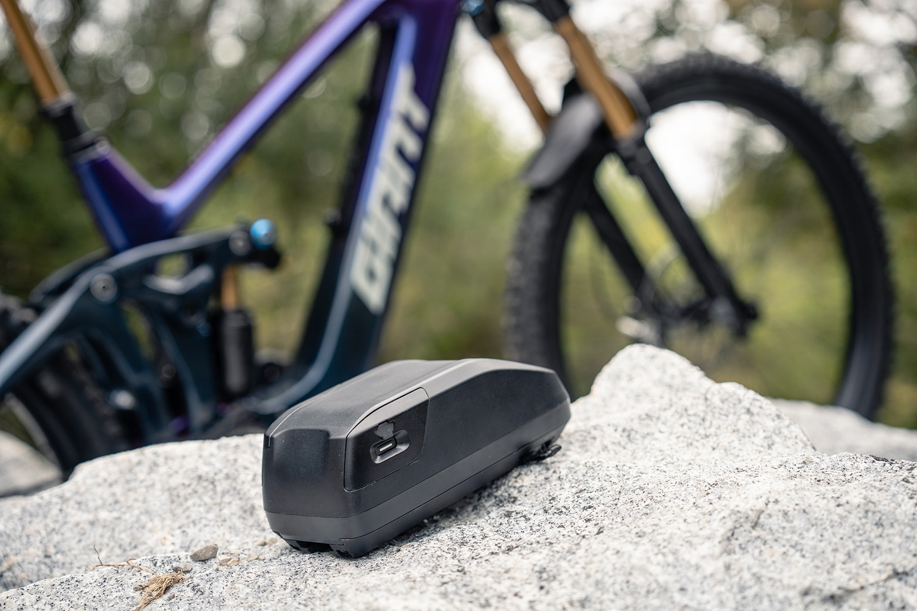 Giant Reign Advanced E+