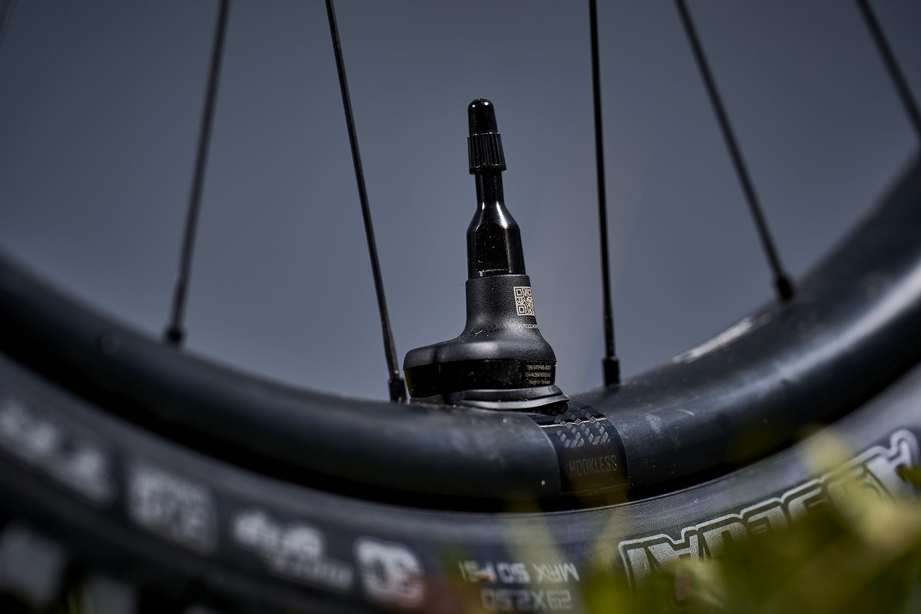 Giant Reign Advanced E+