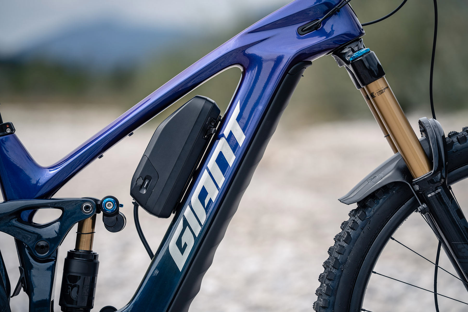 Giant Reign Advanced E+