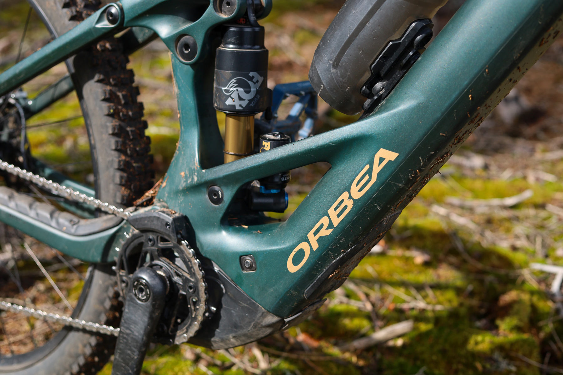 Orbea Wild M-LTD