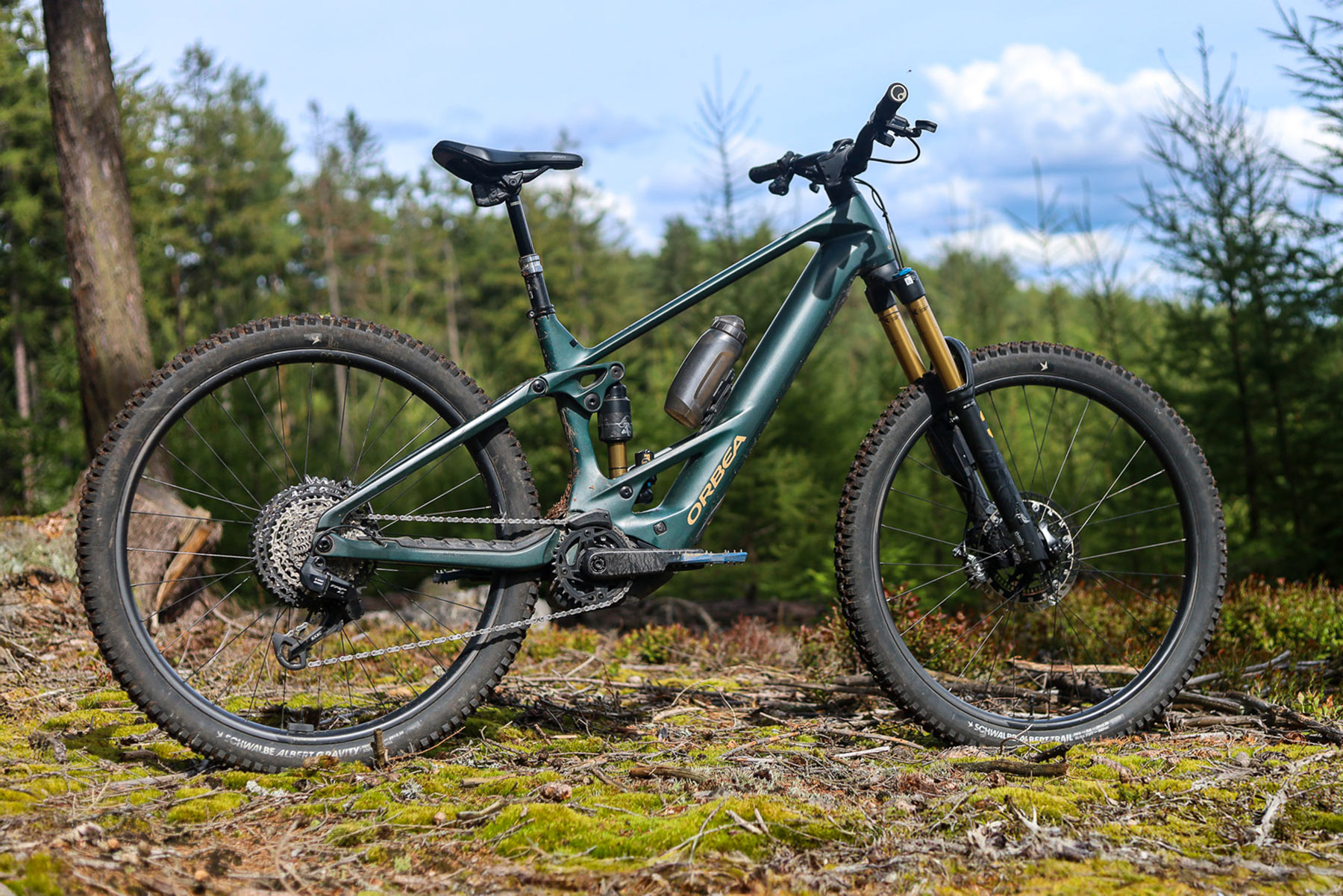 Orbea Wild M-LTD