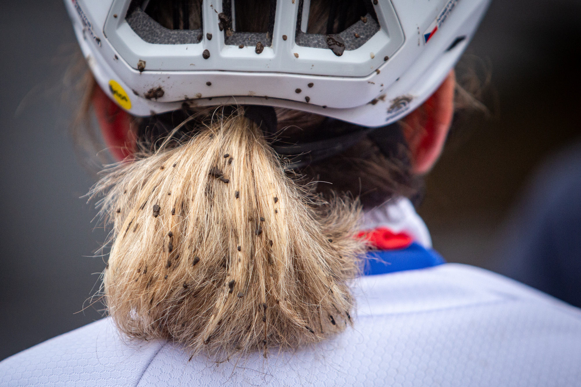 HSF System Cup 2025 - Koln