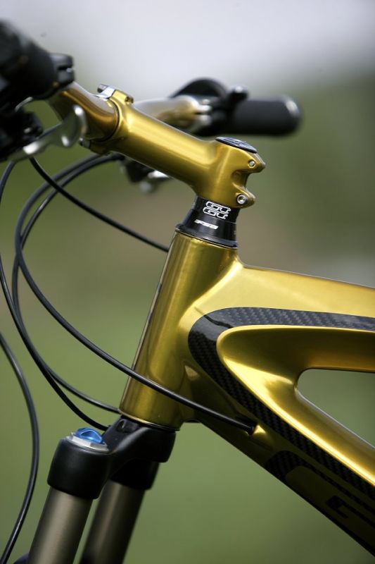 GT Golden Bike 2009