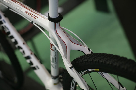 Bianchi 2011