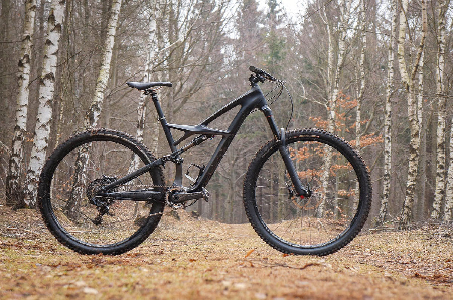 Specialized Enduro Carbon Expert 29"
