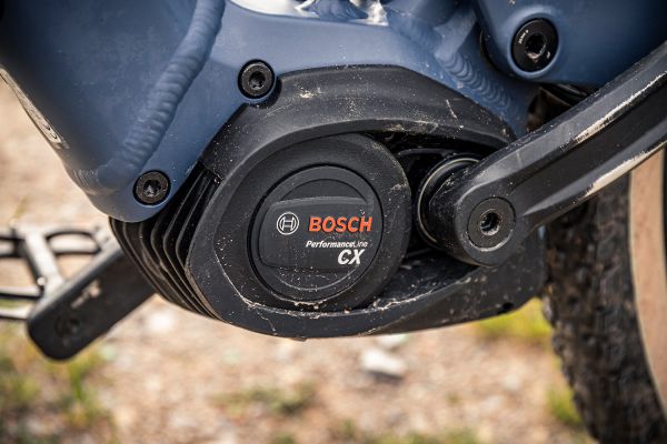 Focus Bosch 2020