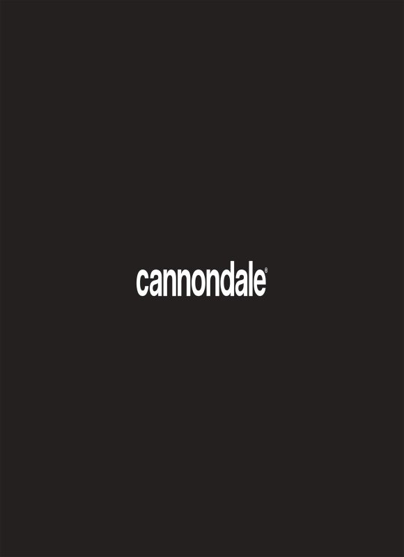 Cannondale Scalpel HT 2022