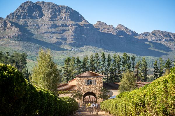 Cape Epic 2022 - 1.e. - krásné scenérie nabízí místní vinařství