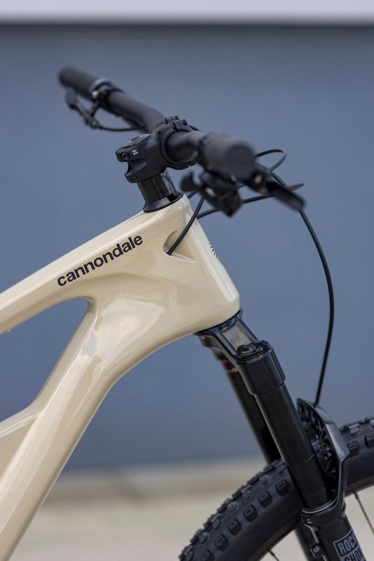 Cannondale Habit Carbon 2