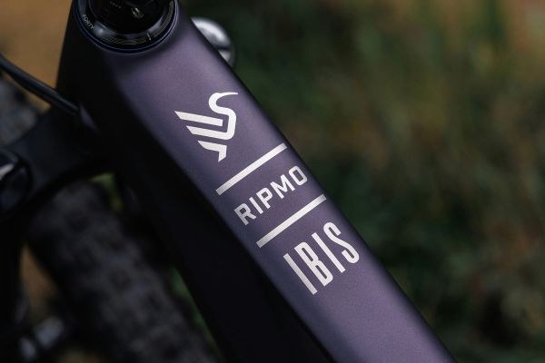 Ibis Ripmo V3