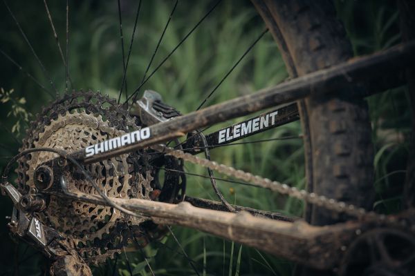 Rocky Mountain Element 2025