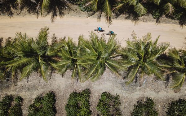 Brasil Ride Bahia 2024