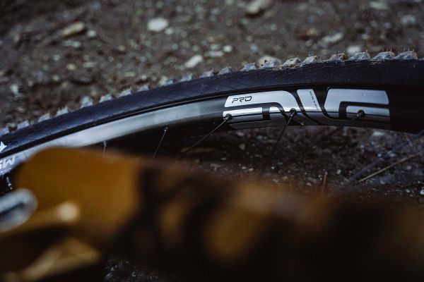 Enve M Series 2025