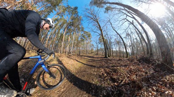 Trek Checkpoint SL 6 AXS