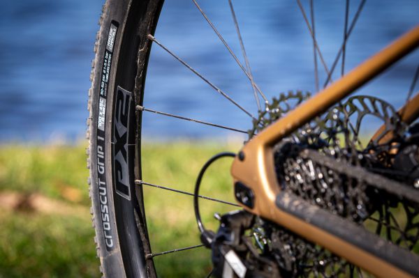 Giant Revolt Advanced 1