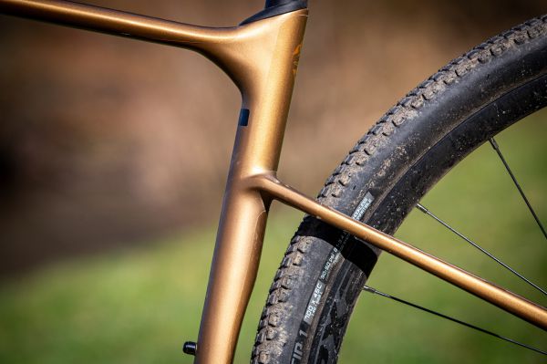 Giant Revolt Advanced 1