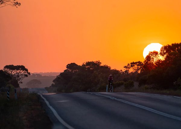 Cannondale Synapse 2025