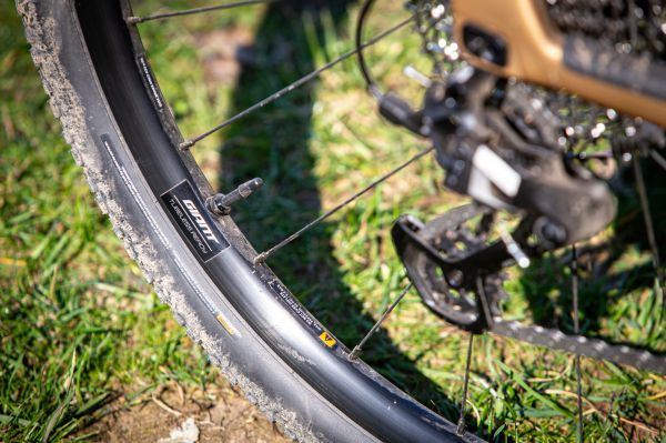 Giant Revolt Advanced 1