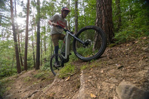 Bosch CX Performance 100 Nm