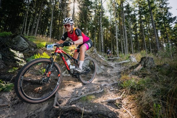 Kupkolo MTB Trilogy 2025