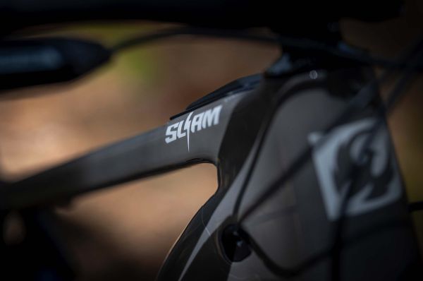 Pivot Shuttle SL-AM PRO XO