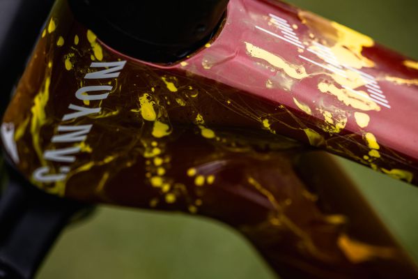 Canyon Lux CFR Thibaulta Francoise