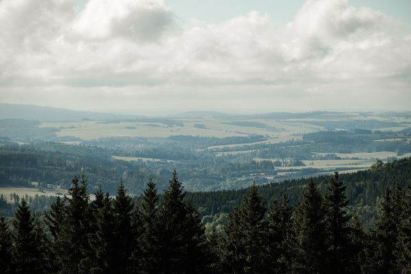 PROPAIN Rookies Cup finle 2025 - Kopivn