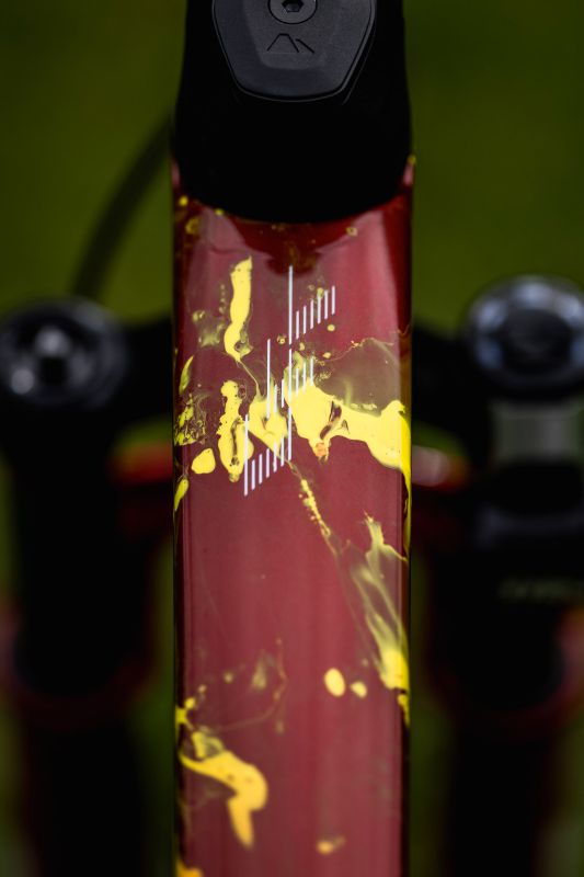 Canyon Lux CFR Thibaulta Francoise