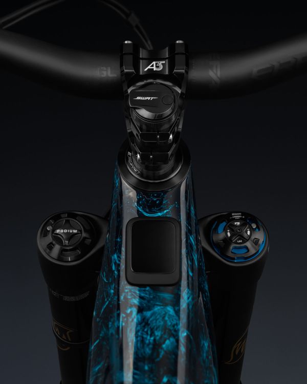 S-Works Turbo Levo 4 LTD