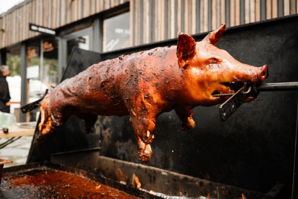 PROPAIN Rookies Cup finle 2025 - Kopivn