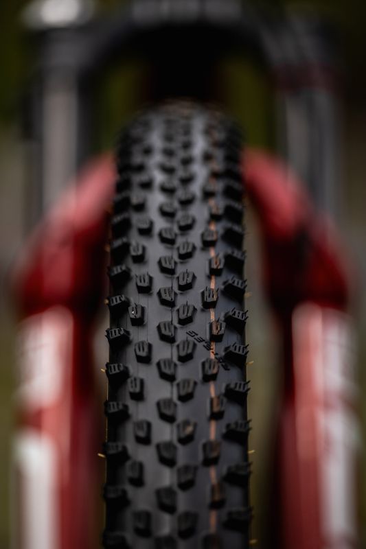 Canyon Lux CFR Thibaulta Francoise