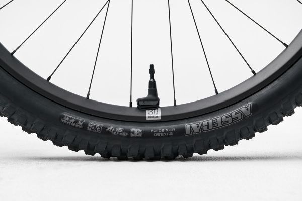 Giant Reign Advanced E+