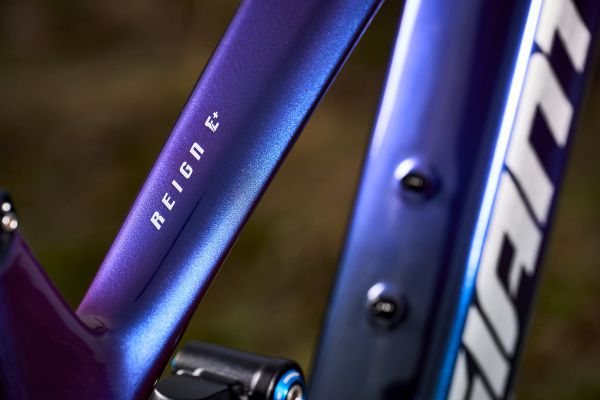 Giant Reign Advanced E+