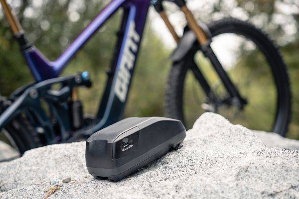 Giant Reign Advanced E+