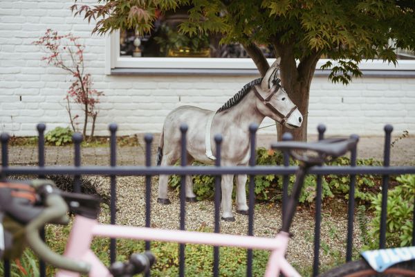 Mistrovstv svta gravel 2025 - sobota