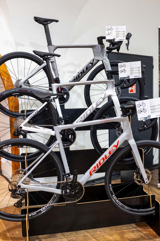 Ridley 2026